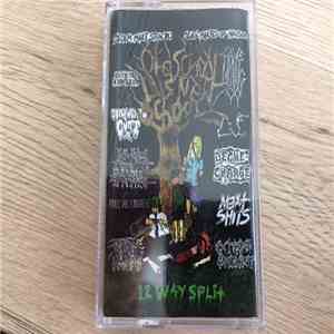 Various - Old School Noise Vs New School Noise flac album