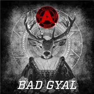 We Are Noize - Bad Gyal flac album