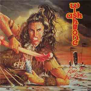 Wishbone Ash - Raw To The Bone flac album