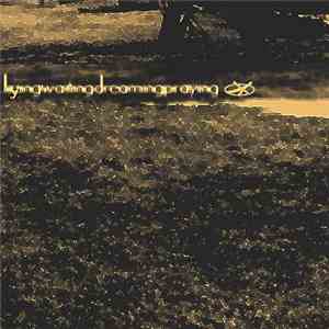 Yasahi - Lying Waiting Dreaming Praying flac album