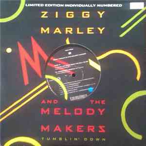 Ziggy Marley And The Melody Makers - Tumblin' Down flac album