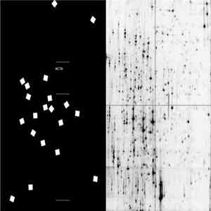 Acta - Sous Quel Ordre flac album
