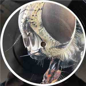 Arctor - Monachopsis Ep flac album