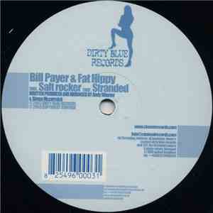Bill Payer & Fat Hippy - Salt Rocker flac album