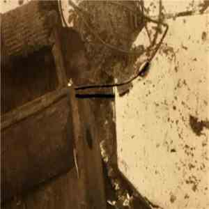 Chlorine Gargle - Give Us Death Before Drought flac album