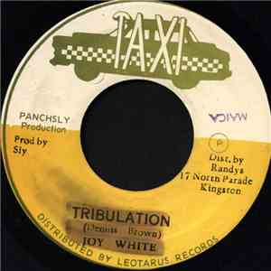 Cultural Roots - Brother John Down A Gulley flac album