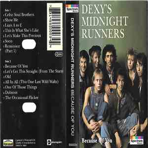 Dexys Midnight Runners - Because Of You flac album