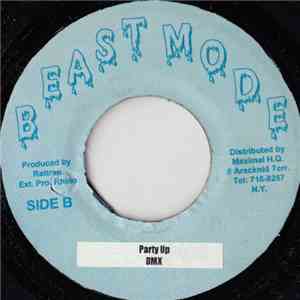 DMX / P!NK - Party Up / There You Go flac album