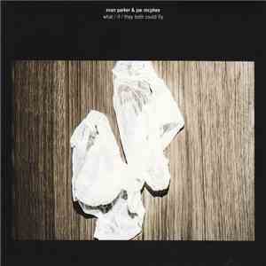 Evan Parker & Joe McPhee - What / If / They Both Could Fly flac album