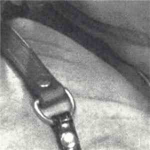 Hal Hutchinson - For Extreme Cinema 1 flac album