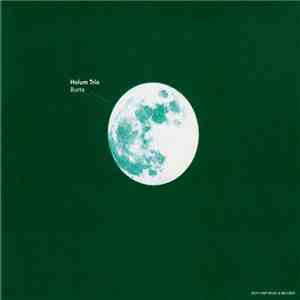 Holum Trio - Borte flac album
