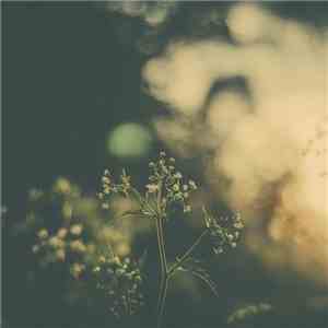 Hotel Neon - Means Of Knowing flac album