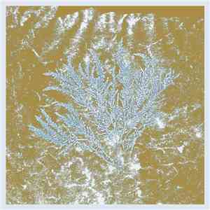 Huerco S. - For Those Of You Who Have Never (And Also Those Who Have) flac album