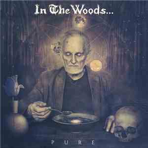 In The Woods... - Pure flac album