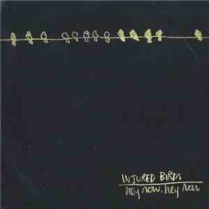 Injured Birds - Hey Now, Hey Now flac album