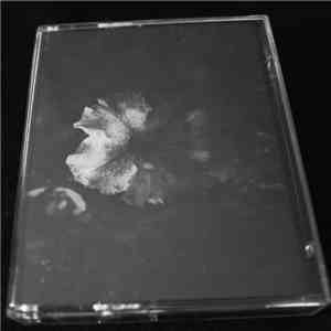 Introversion  - Grau flac album