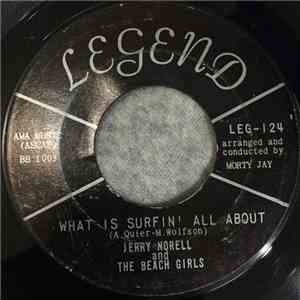 Jerry Norell - What Is Surfin' All About flac album