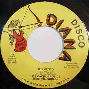 Los Cachorros De Juan Villarreal - Tormento flac album