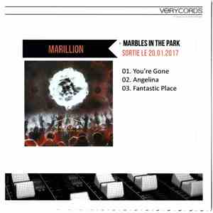 Marillion - Marbles In The Park flac album