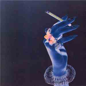 Medium Medium - Live In Holland flac album