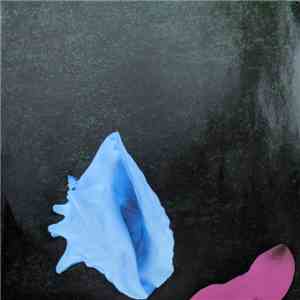 New Order - Touched By The Hand Of God flac album
