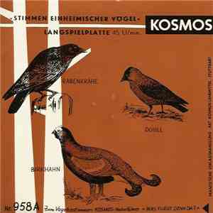 No Artist - Stimmen Einheimischer Vögel flac album