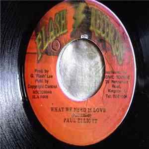 Paul Elliott - What We Need Is Love flac album