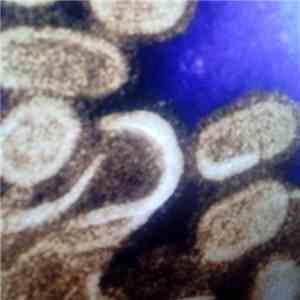 Psychostimulant - Incapacitating Pandemic flac album