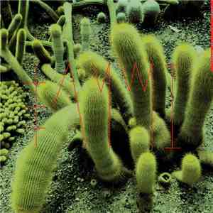 Sanmi - The Hermit flac album