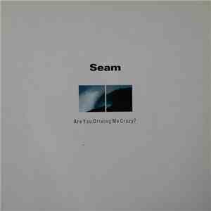 Seam - Are You Driving Me Crazy? flac album