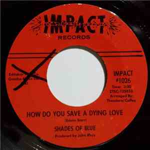 Shades Of Blue  - How Do You Save A Dying Love flac album