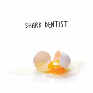 SHARK DENTIST - Florentine (make me smile) flac album