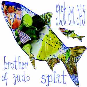 Sist En 343 / Brother Of Judo - Split flac album
