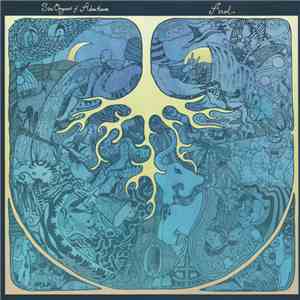 Six Organs Of Admittance / Azul  - Six Organs Of Admittance / Azul flac album