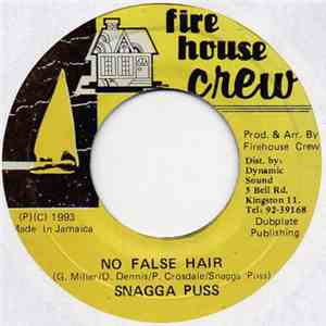 Snagga Puss - No False Hair flac album