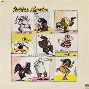 The David Bromberg Band - Reckless Abandon flac album