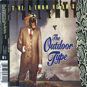 The Lemonheads - The Outdoor Type flac album