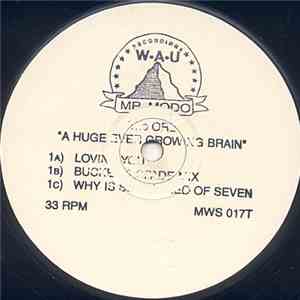 The Orb - A Huge Ever Growing Pulsating Brain That Rules From The Centre Of The Ultraworld flac album