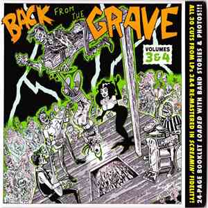 Various - Back From The Grave Volumes 3 & 4 flac album