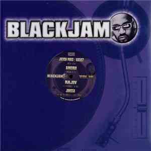 Various - Blackjam Vol. 15 flac album