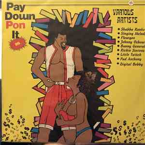 Various - Pay Down Pon It flac album