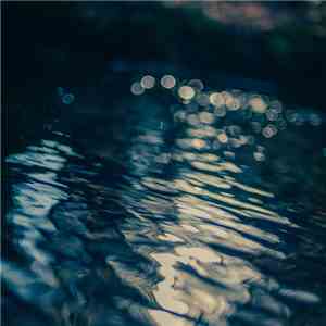 Various - Reflections (Dub) flac album