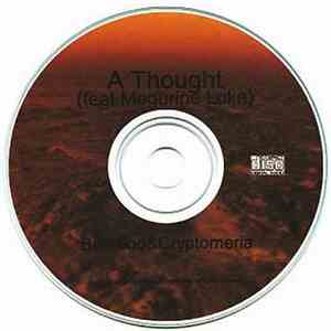 Voile feat. Megurine Luka - A Thought flac album