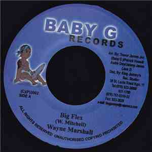 Wayne Marshall - Big Flex flac album