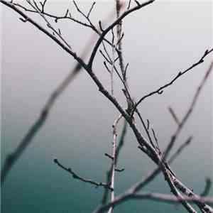 A Himitsu - Isolated Mind flac album