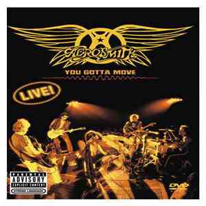 Aerosmith - You Gotta Move flac album
