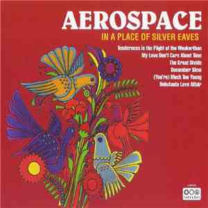 Aerospace  - In A Place Of Silver Eaves flac album