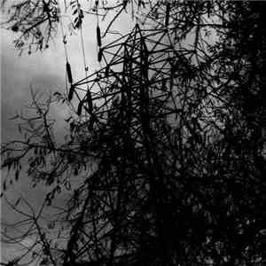 A.Z.A.B. - II flac album