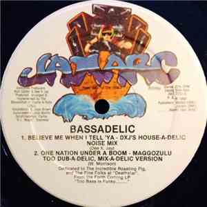 Bassadelic - One Nation Under A Boom flac album