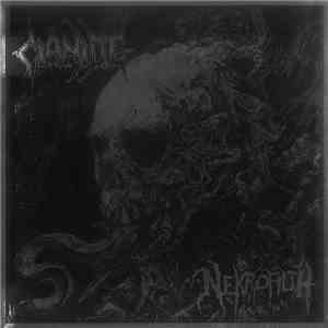 Cianide / Nekrofilth - Cianide / Nekrofilth flac album
